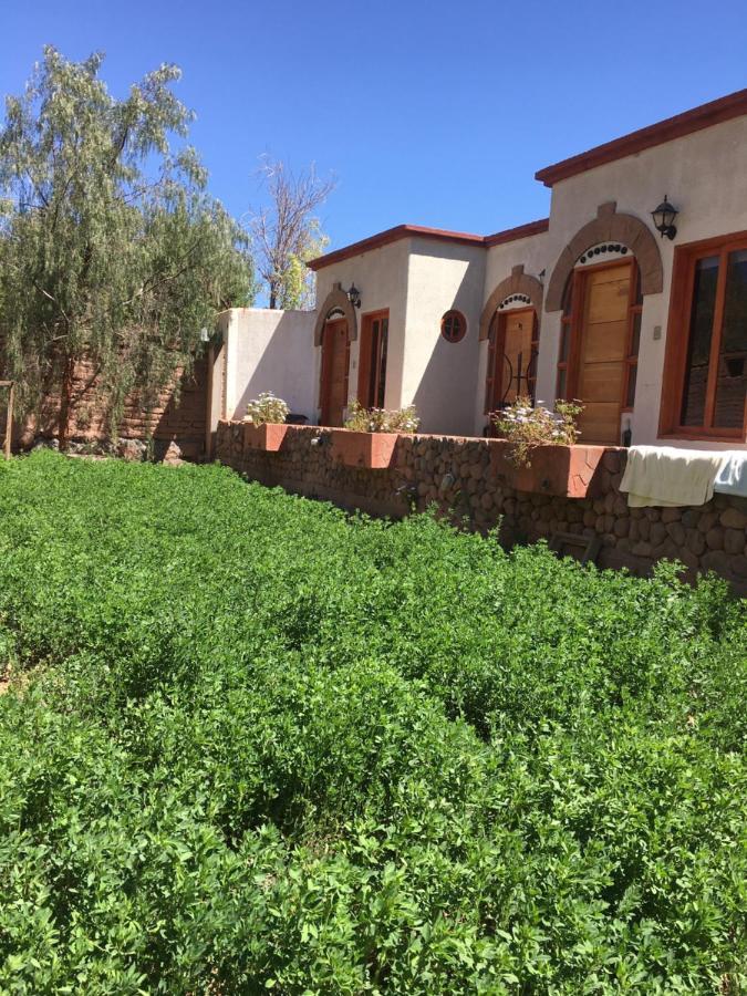 Hostal Puritama San Pedro de Atacama Exteriér fotografie